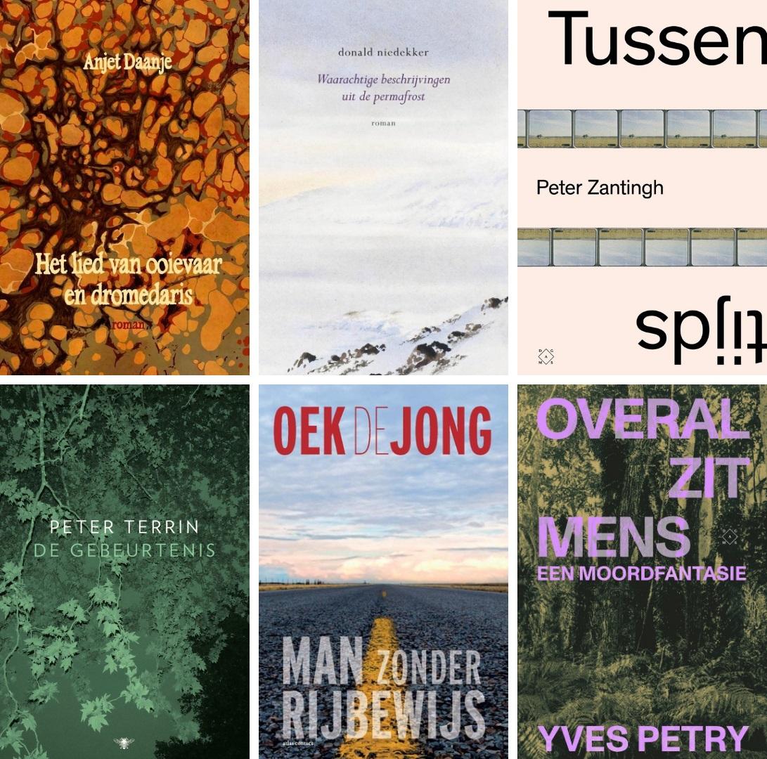 Anjet Daanje, het lied van ooievaar en dromedaris. Donald Niedekker, waarachtige beschrijvingen uit de permafrost. Peter Zantingh, Tussentijd. Peter Terrin, de gebeurtenis. Oek de Jong, Man zonder rijbewijs. Yves Petry, Overal zit mens.
