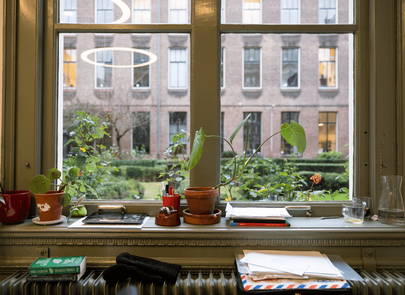 vensterbank met planten en boeken en raam met uitzicht op binnentuin