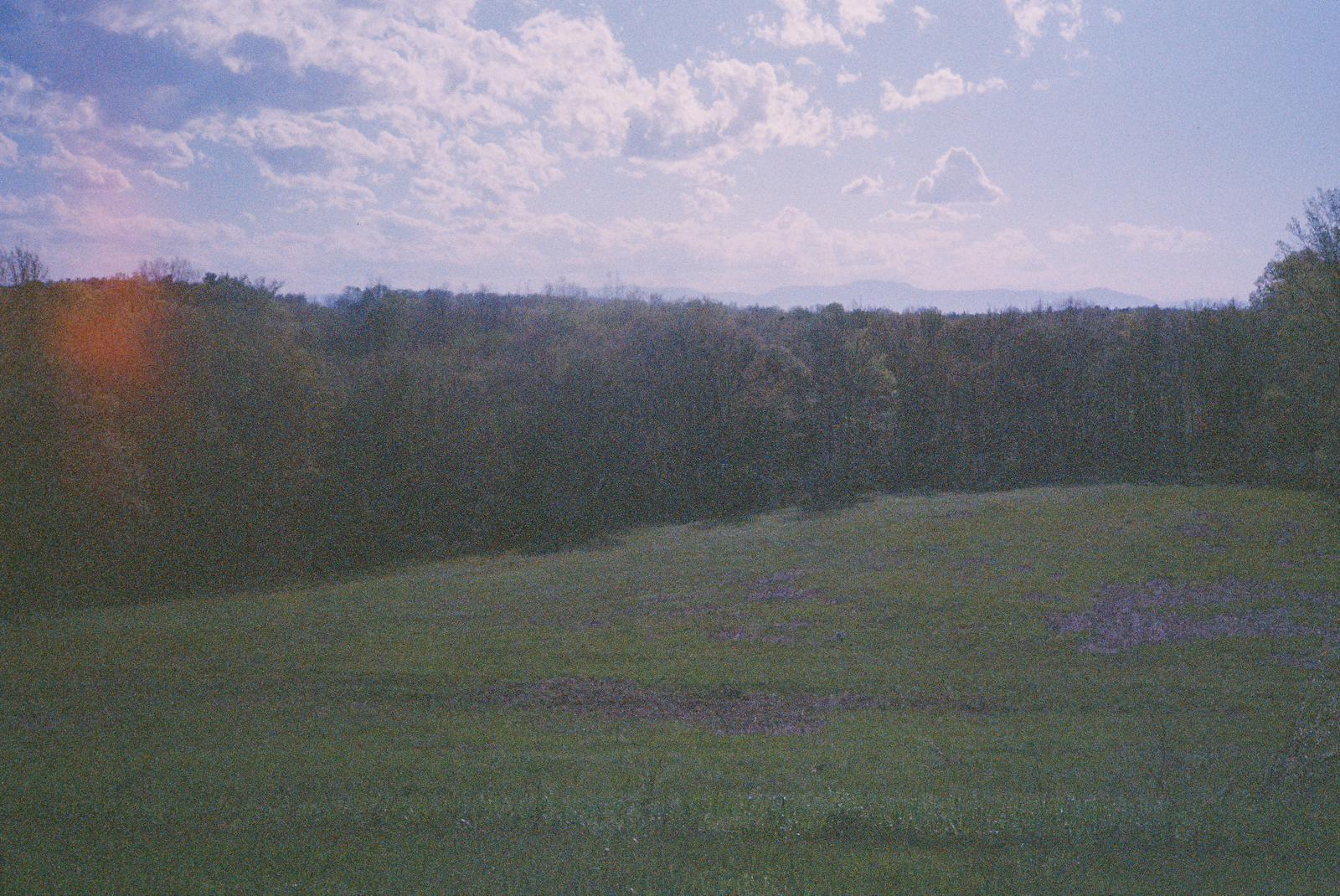 Gras, bos en blauwe lucht met wolken